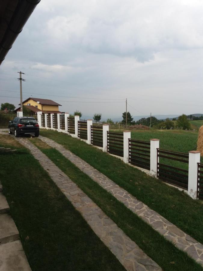 Vila Aloman Sebeş Exterior foto
