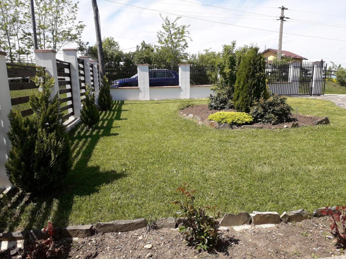 Vila Aloman Sebeş Exterior foto