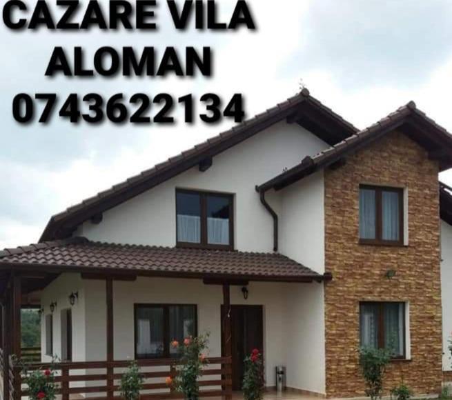 Vila Aloman Sebeş Zimmer foto